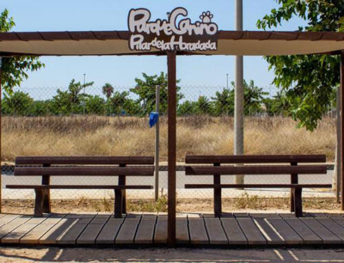 Pérgola   PILAR DE LA HORADADA  (Alicante)